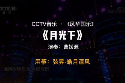 曹媛源-月光下，古筝：弦昇皓月清风