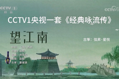 曹媛源《望江南》-CCTV1央视一套《经典咏流传》节目，古筝：弦昇·星悦